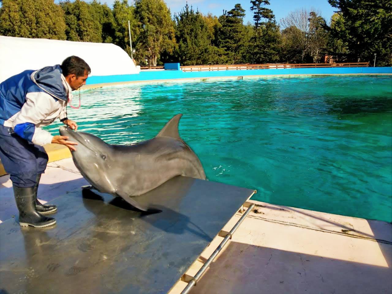 BASCULA MODELO MSSP9000 SERIE DPH APTA PESAJE ANIMALES MARINOS